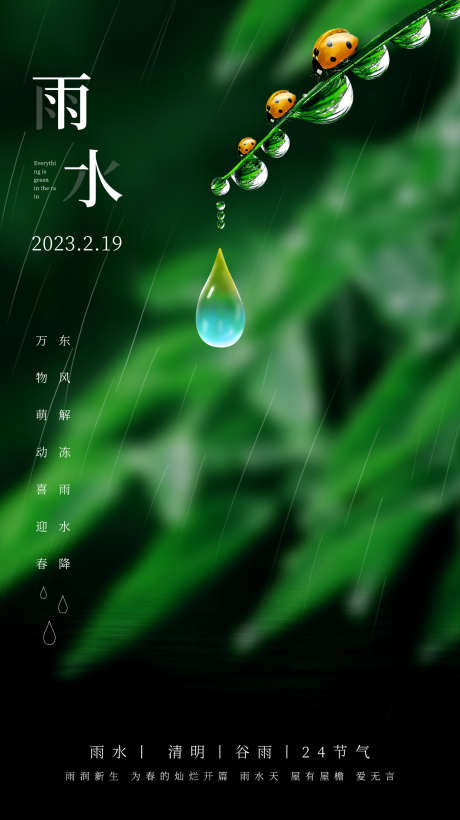 雨水白露竹叶蜻蜓节气海报_源文件下载_PSD格式_1236X2204像素-意境,简约,春天,蛛网,海报,水滴,雨水-作品编号:2024022009363993-设计素材-www.shejisc.cn