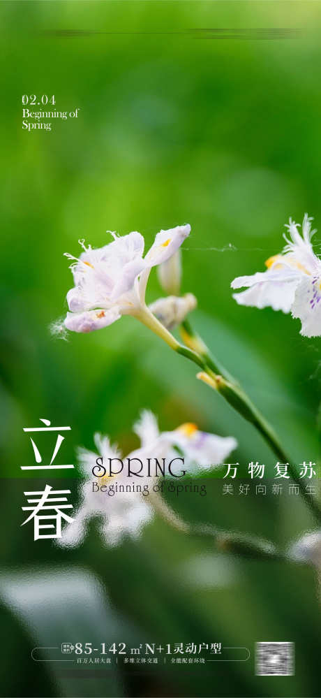 立春节气海报_源文件下载_CDR格式_1768X3840像素-立春节气海报,春分,立春,立春海报,二十四节气-作品编号:2024022010172484-设计素材-www.shejisc.cn