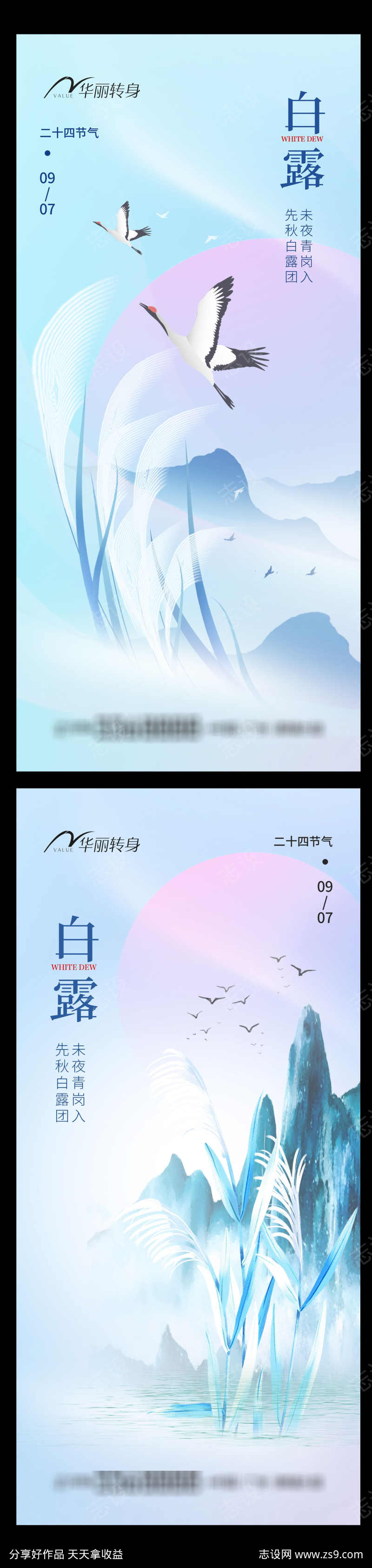 白露节气海报