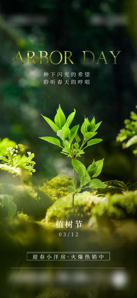 地产植树节简约海报_源文件下载_1125X2436像素-312,海报,地产,公历节日,植树节,简约,风景,小树苗,绿色,阳光,绿植,向阳-作品编号:2024030722533418-志设-zs9.com