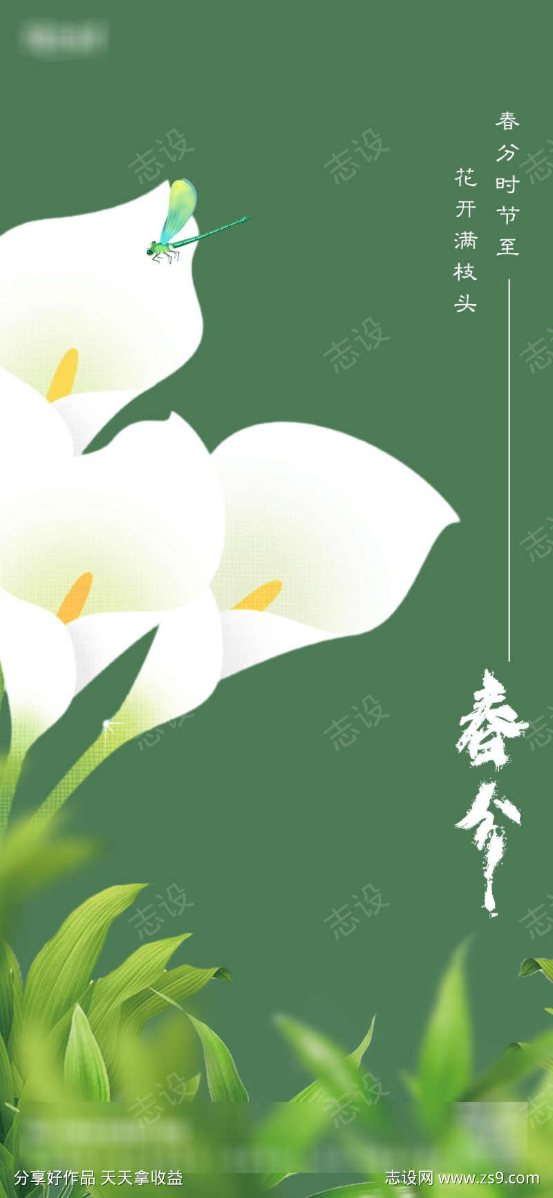 春分节气插画海报