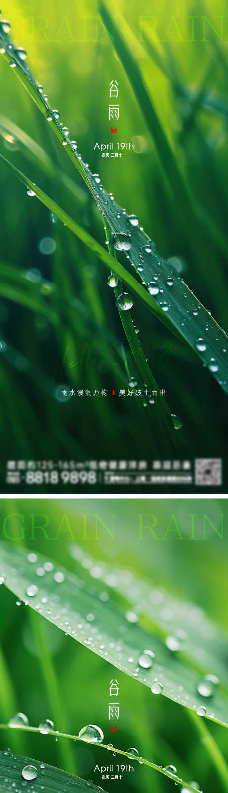 谷雨节气海报_源文件下载_2000X8701像素-草叶,下雨,雨天,雨滴,春季,春天,地产海报,节气,谷雨-作品编号:2024040819246455-设计素材-www.shejisc.cn