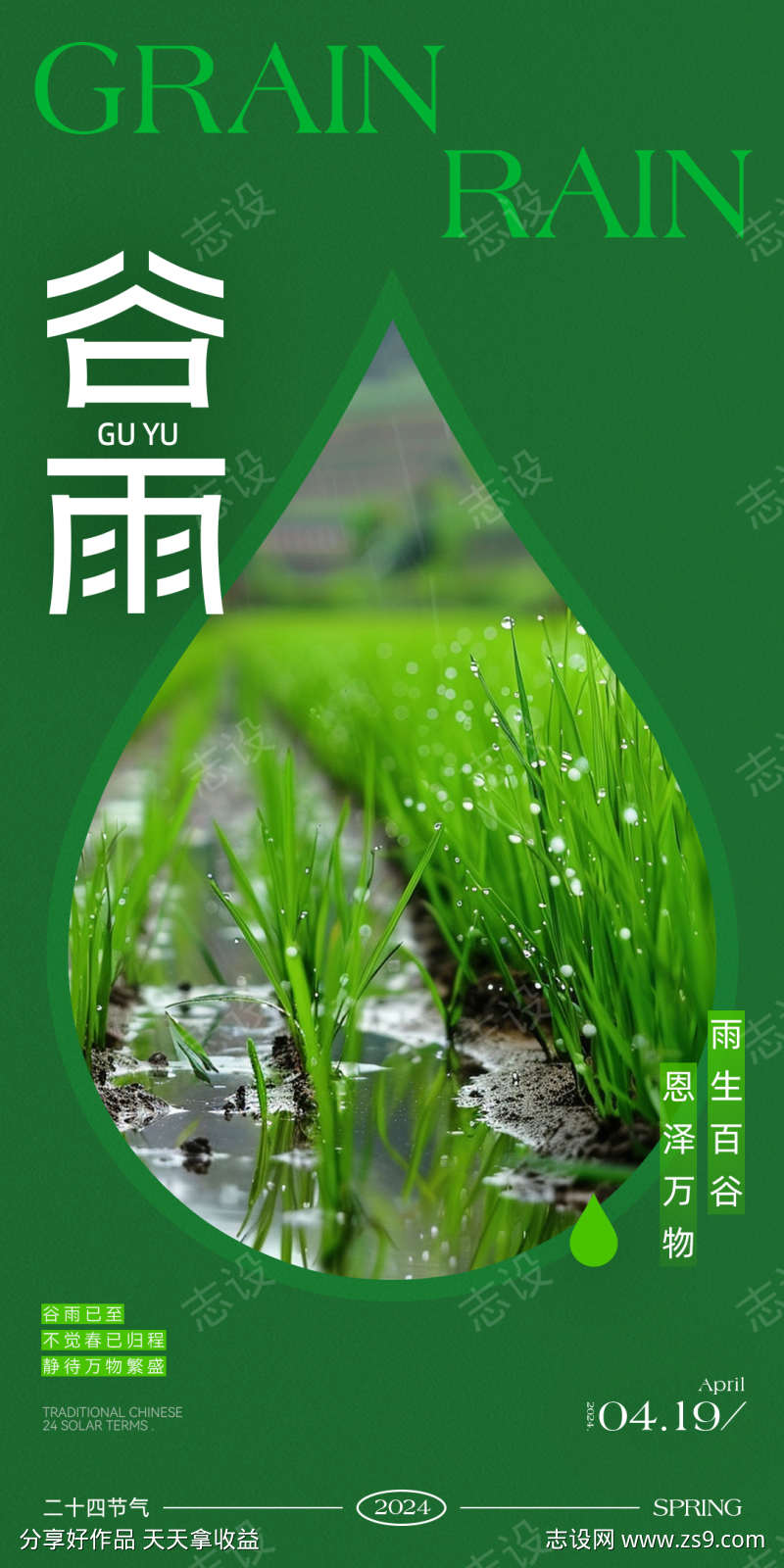 谷雨简约海报