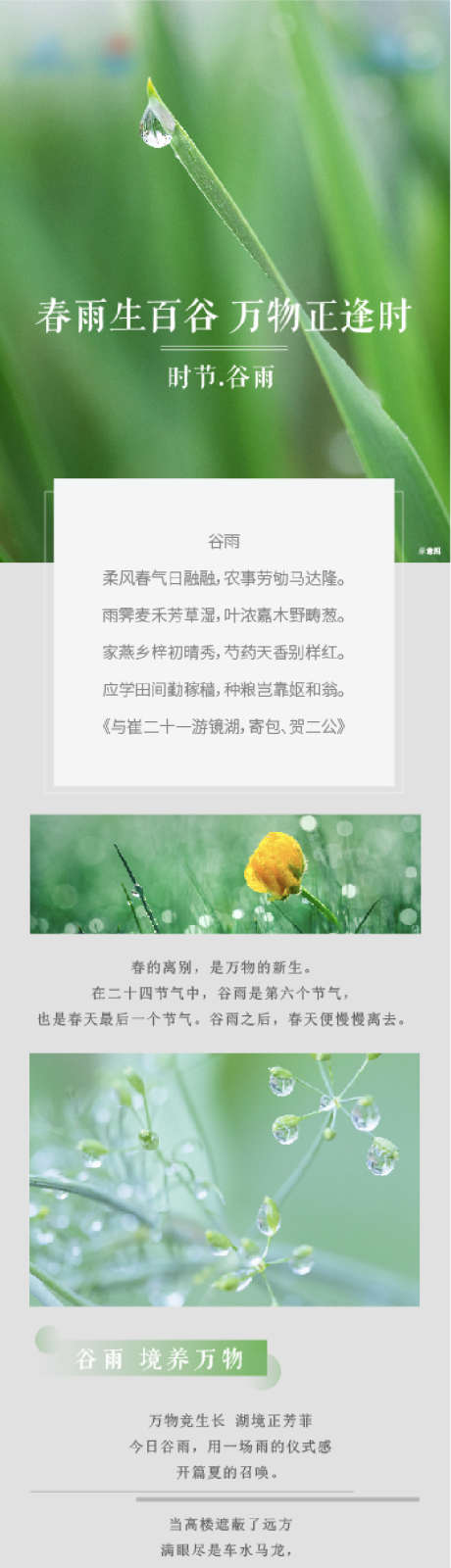 谷雨节气长图_源文件下载_AI格式_750X6394像素-长图,房地产,谷雨-作品编号:2024040802770414-志设-zs9.com