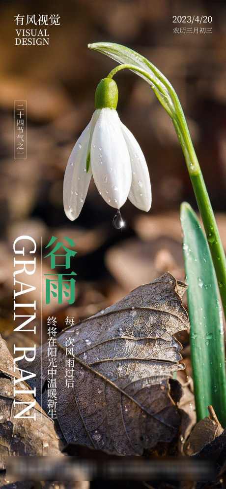 二十四节气谷雨海报_源文件下载_PSD格式_1000X2157像素-海报,节气,谷雨,雨露,小花,新生,雨后,枯叶,小草-作品编号:2024040902771832-设计素材-www.shejisc.cn