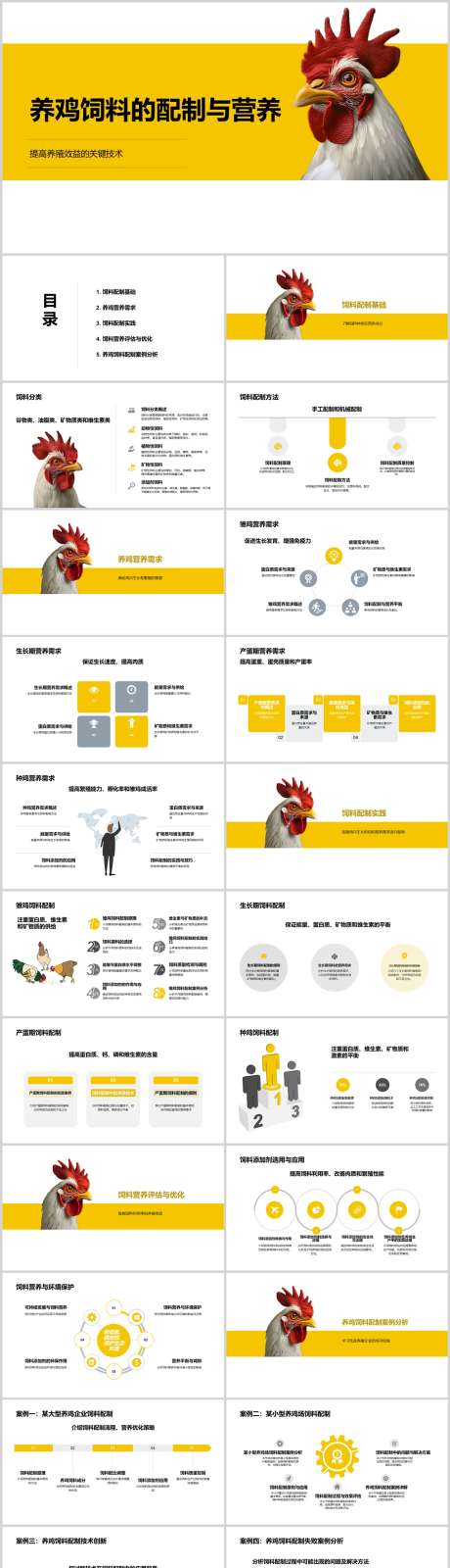 养鸡饲料的配制与营养PPT_源文件下载_其他格式格式_1212X4788像素-营养,配制,饲料,养鸡,PPT-作品编号:2024041315354859-设计素材-www.shejisc.cn