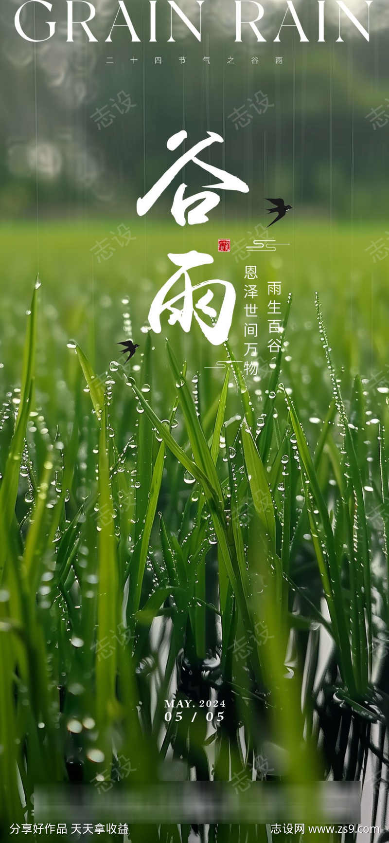 谷雨节气海报