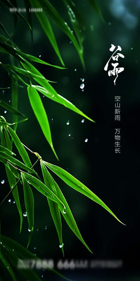 谷雨节气海报_源文件下载_PSD格式_1124X2248像素-清新,简约,水滴,下雨,竹子,地产,海报,节气,谷雨-作品编号:2024041422251278-志设-zs9.com