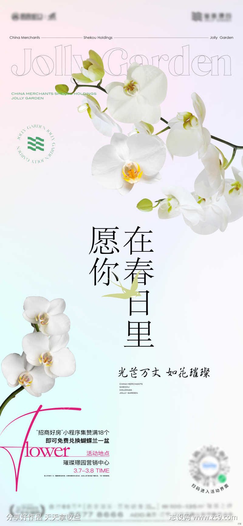 女神节妇女节蝴蝶兰花