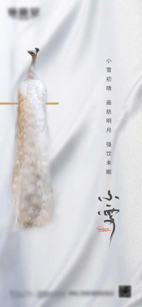 小雪节气海报_源文件下载_AI格式_1667X3606像素-小雪,节气,微信,海报,地产,简约-作品编号:2024042009588756-志设-zs9.com