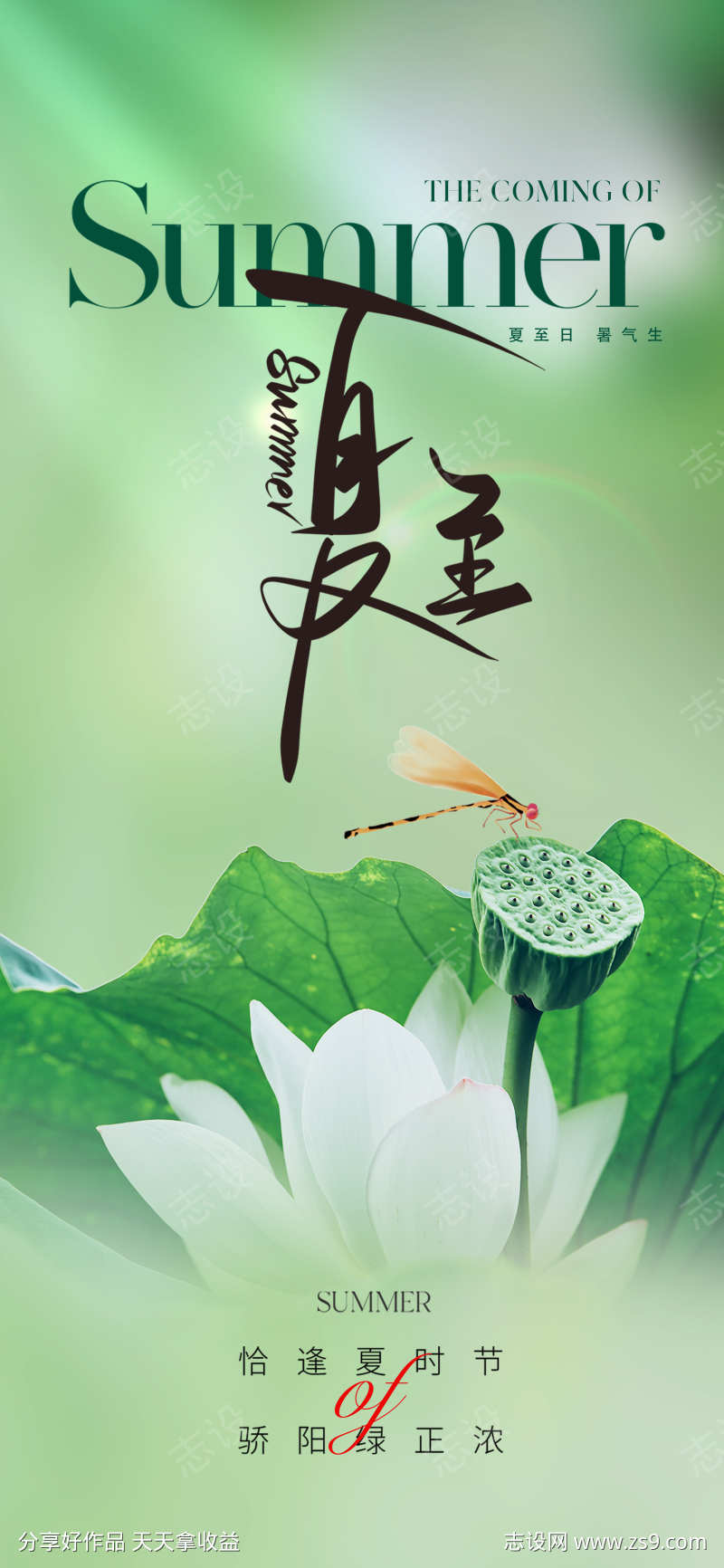 地产美业夏至节气海报