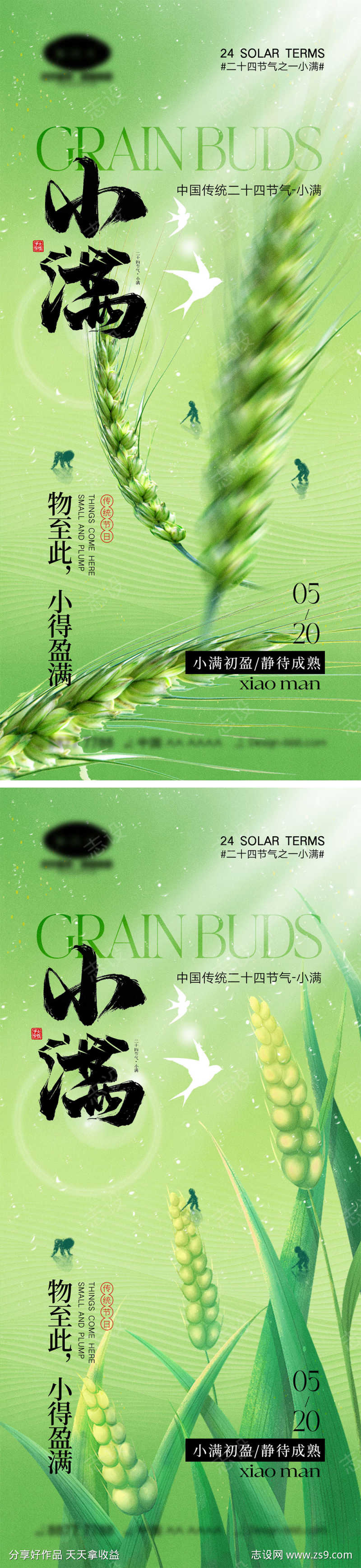 小满节气海报