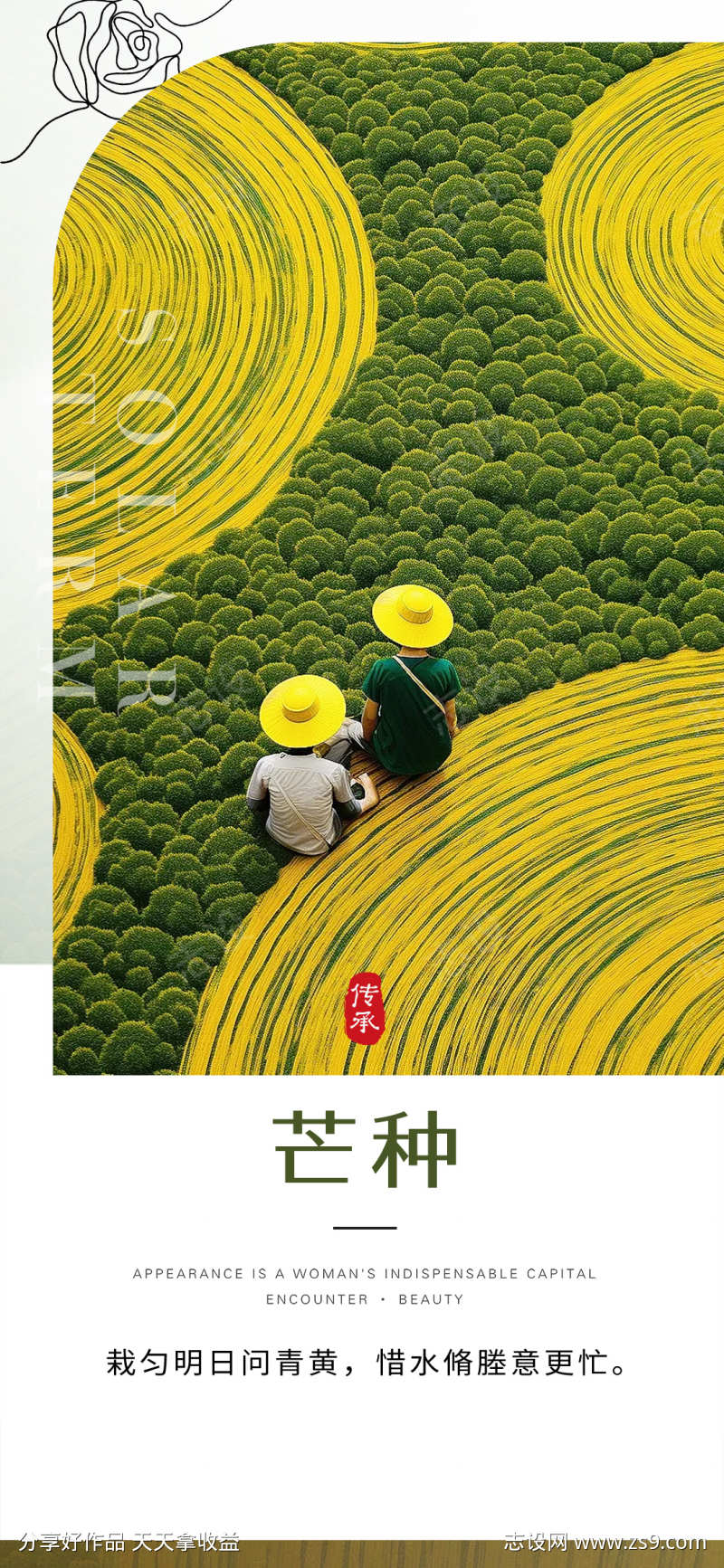 二十四节气芒种海报