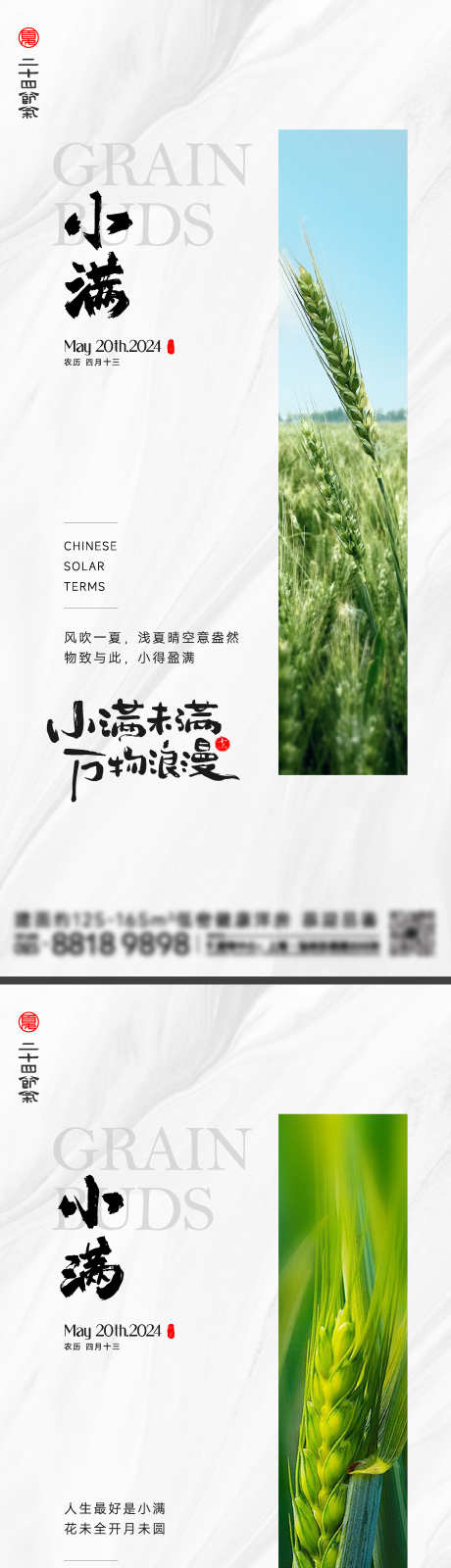 小满节气海报_源文件下载_2000X8701像素-水稻,稻穗,麦穗,夏天,夏季,节气,海报,小满-作品编号:2024050914156231-设计素材-www.shejisc.cn