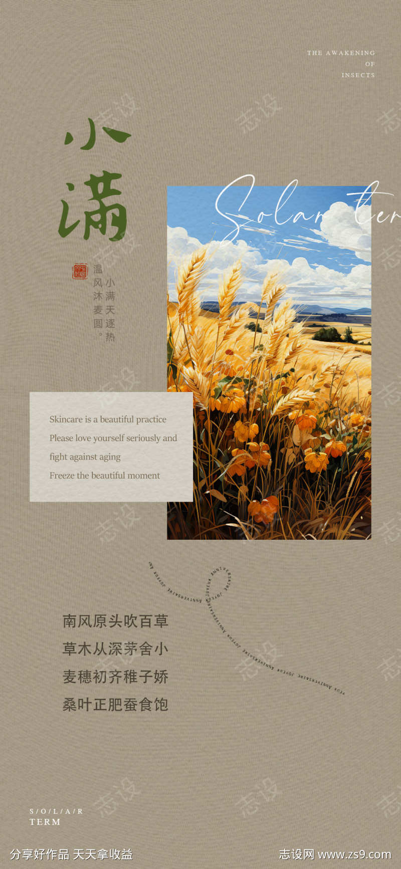 二十四节气小满海报