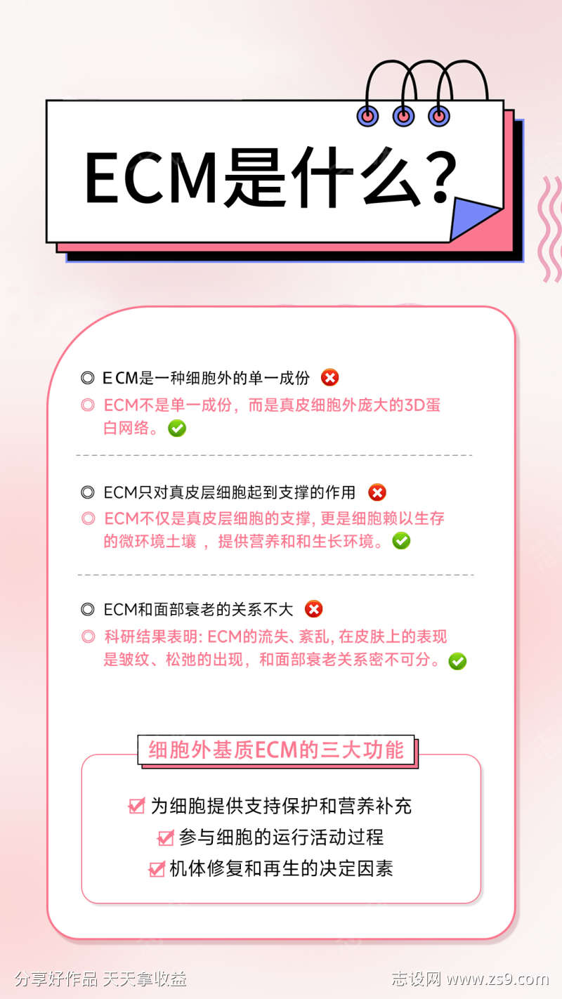 ECM是什么