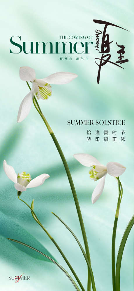 地产美业夏至节气海报_源文件下载_PSD格式_1200X2599像素-花卉,鲜花,淡雅,质感,高级,朦胧,弥散,唯美,夏天,夏季,清新,绿色,海报,节气,夏至,美业,地产-作品编号:2024051720074737-设计素材-www.shejisc.cn