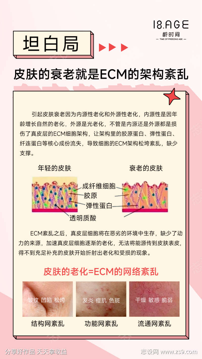 皮肤的衰老就是ECM的架构紊乱