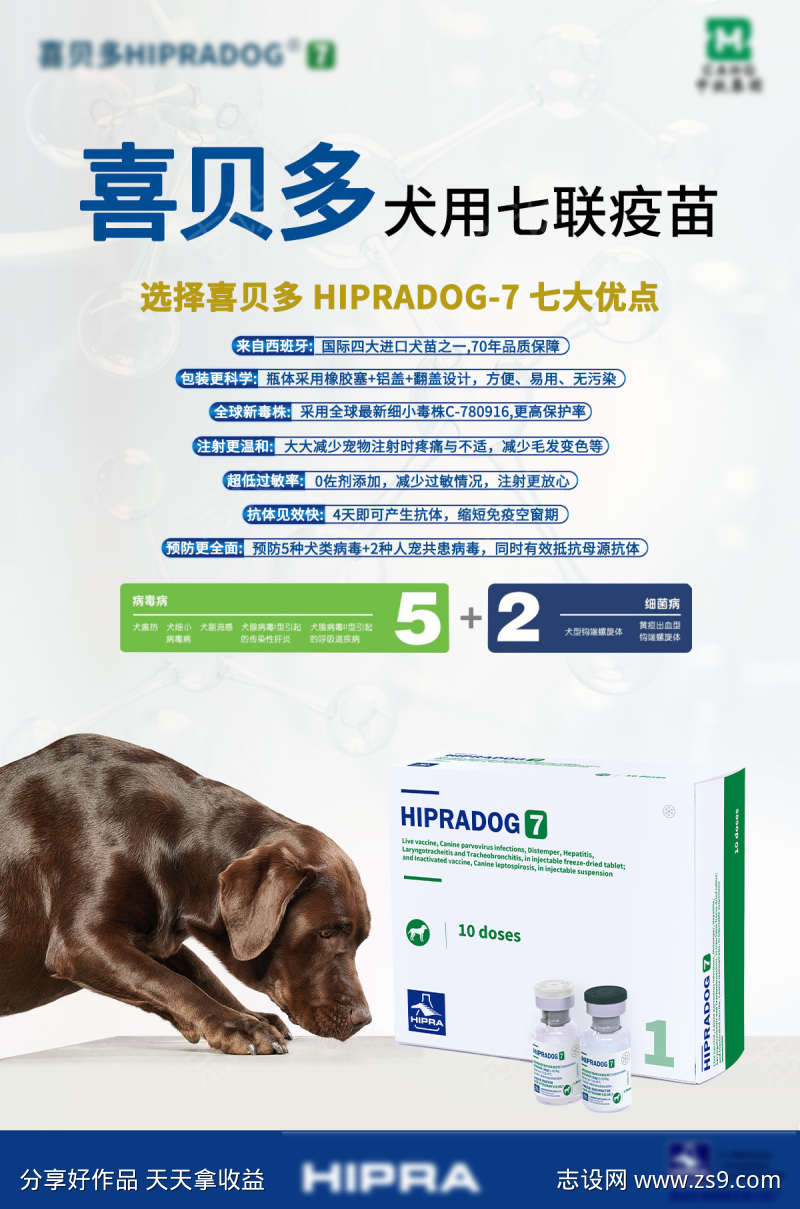 犬用疫苗医疗健康宣传海报