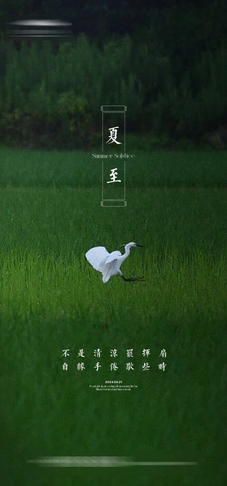 夏至品质海报_源文件下载_22格式_1333X2855像素-意境,夏天,荷叶-作品编号:2024053112046451-志设-zs9.com