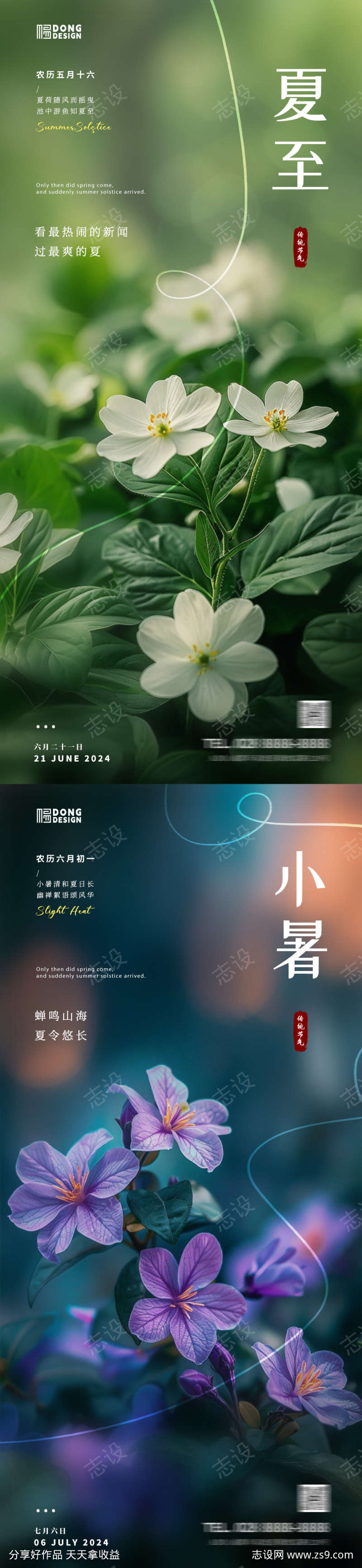 夏至小暑花朵海报