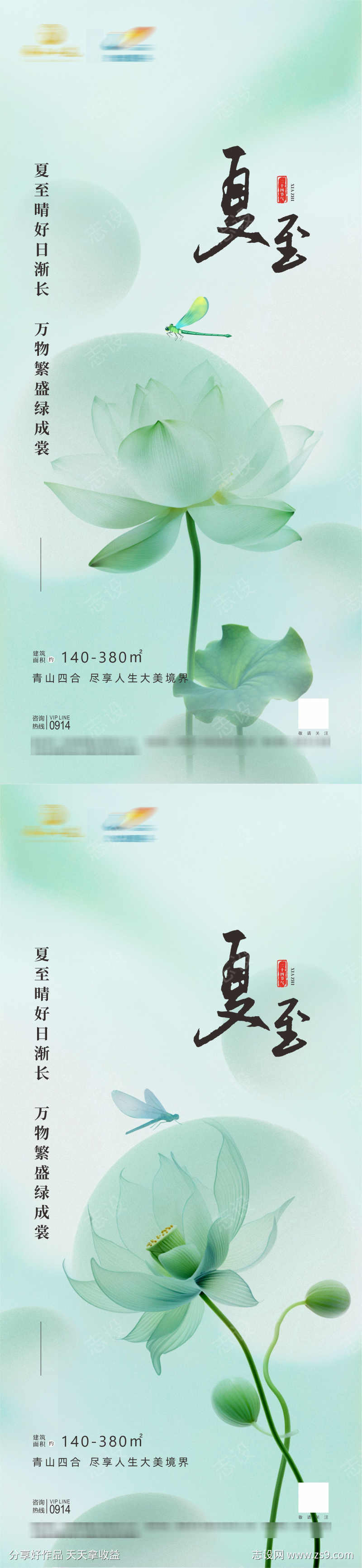 夏至节气海报