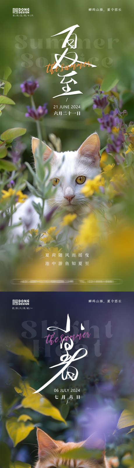 夏至小暑大暑小猫海报_源文件下载_PSD格式_1080X2340像素-可爱,动物,小猫,系列,清新,自然,花园,风景,大暑,小暑,夏至,二十四节气,房地产,海报-作品编号:2024061411301307-志设-zs9.com