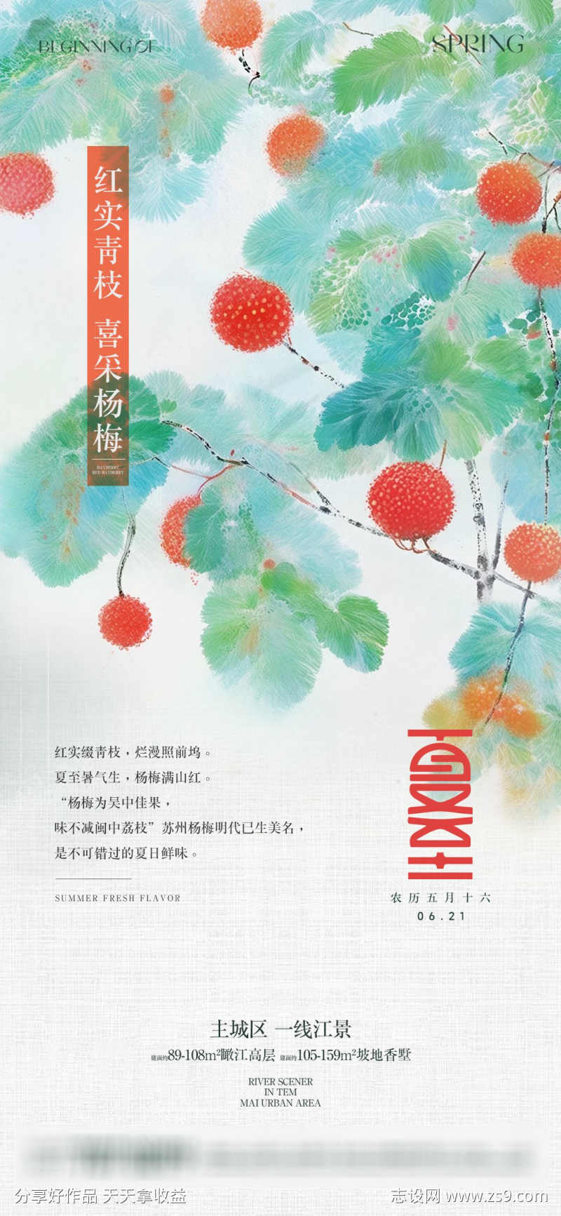 夏至节气杨梅海报