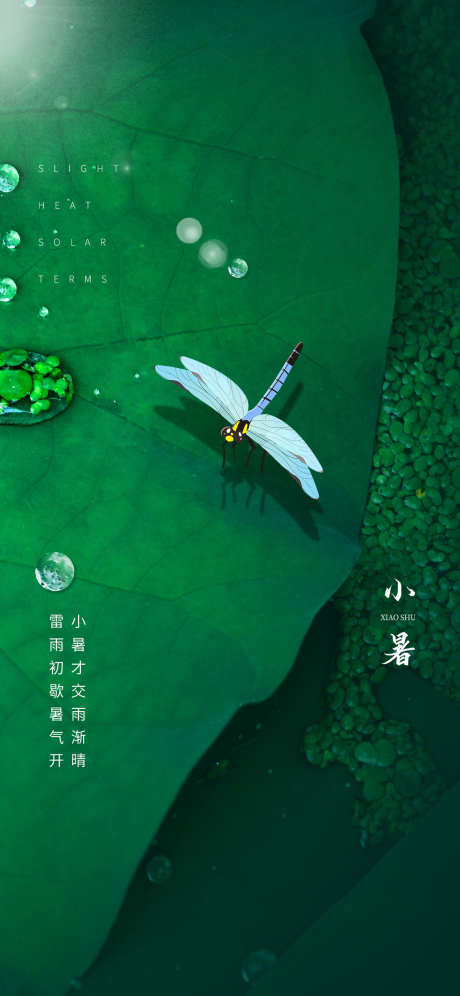 小暑夏日唯美节气节日插画海报_源文件下载_PSD格式_1125X2436像素-宣传,传统,二十四节气-作品编号:2024062815468345-志设-zs9.com