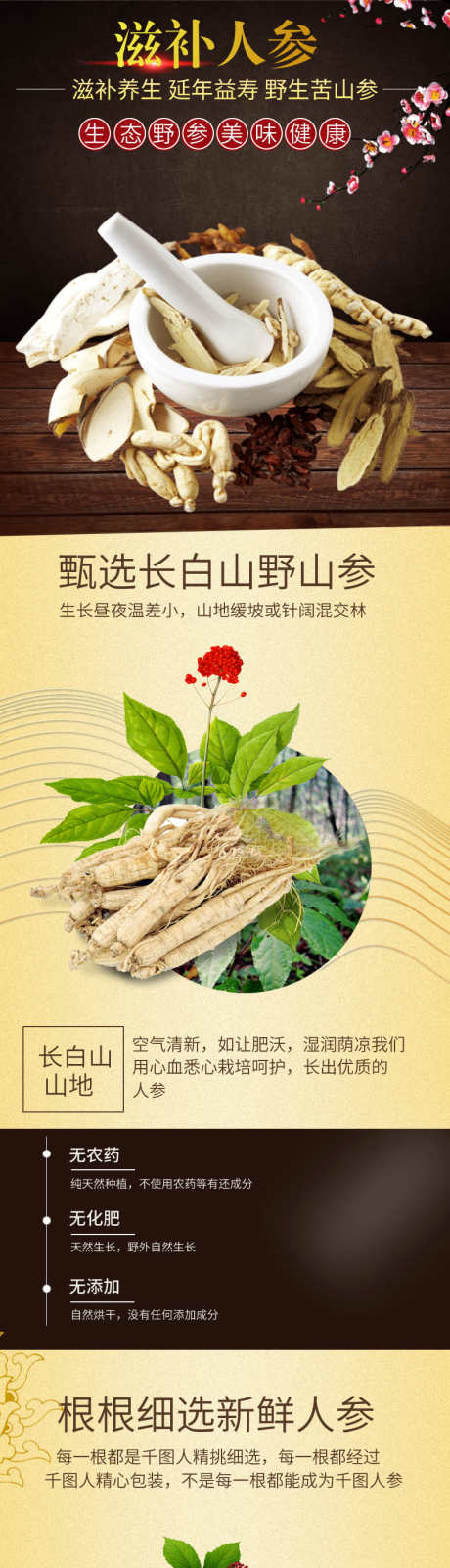 人参详情页_源文件下载_PSD格式_790X9854像素-商场,详情页,淘宝,食物,食品,电商,干果,干货,补品,滋补品,人参-作品编号:2024070216586524-设计素材-www.shejisc.cn