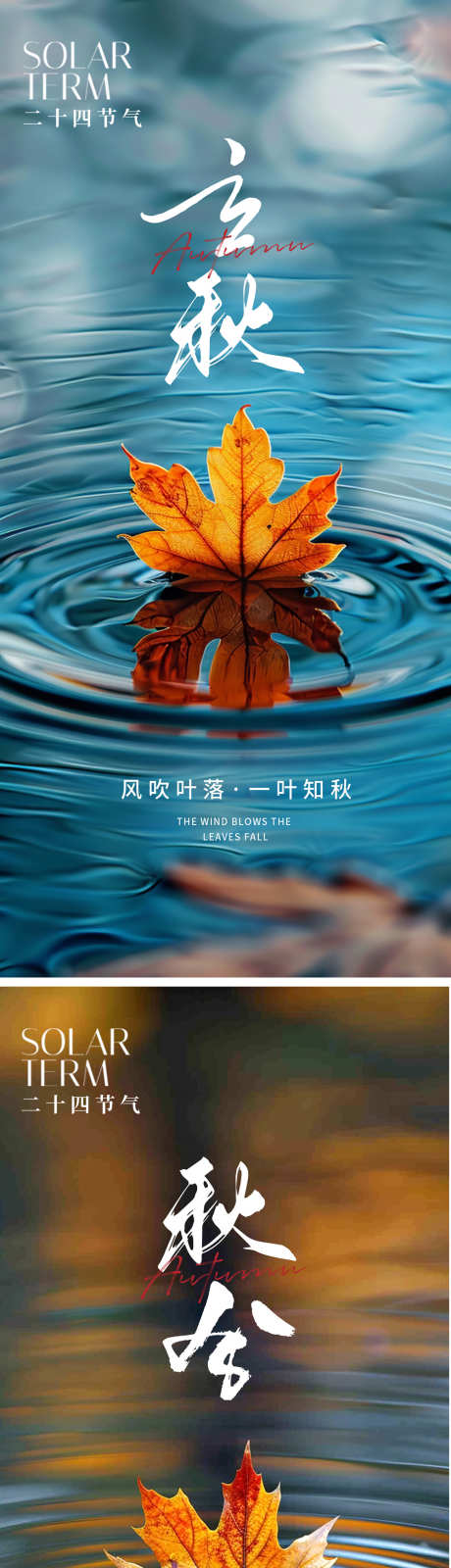 立秋秋分节气海报_源文件下载_PSD格式_1124X2437像素-海报,秋天,节气,秋分,立秋,枫叶-作品编号:2024072613133549-设计素材-www.shejisc.cn