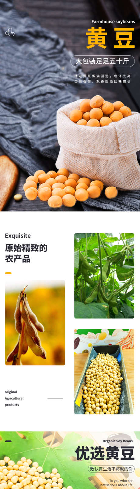 黄豆电商详情页_源文件下载_PSD格式_790X8596像素-商城,豆子,农产品,黄豆,电商,详情页,品质-作品编号:2024081117012010-设计素材-www.shejisc.cn