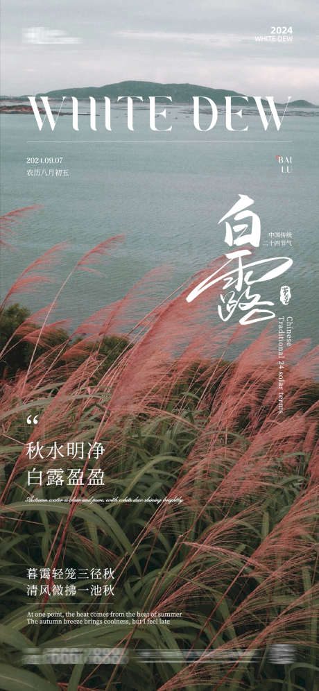 白露节气海报_源文件下载_PSD格式_1125X2436像素-节气,海报,白露,秋天,秋季,芦苇-作品编号:2024081414282618-志设-zs9.com