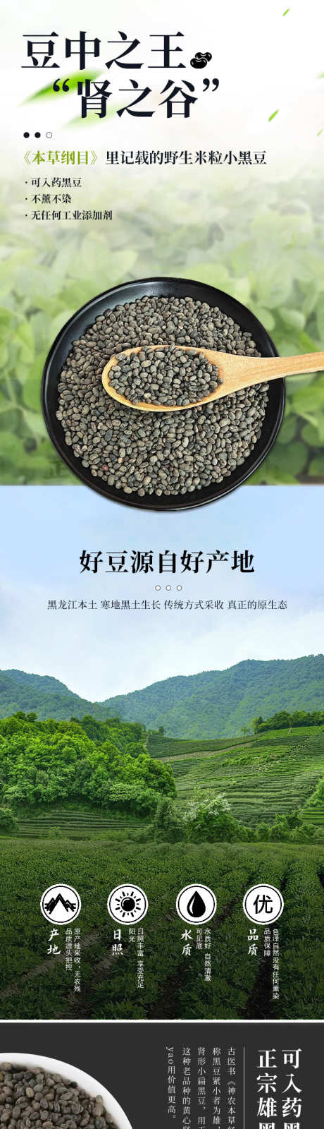 黑豆详情页_源文件下载_PSD格式_790X13252像素-黑豆,详情页,通用,长图,详情-作品编号:2024083011057030-设计素材-www.shejisc.cn