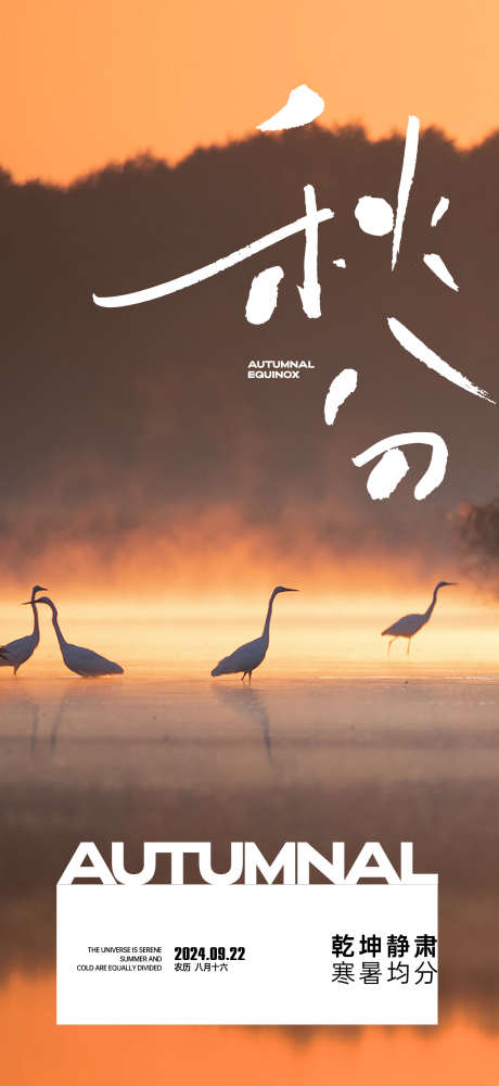 秋分白露节气海报_源文件下载_AI格式_1562X3396像素-秋分,落叶,秋天-作品编号:2024092009131508-志设-zs9.com