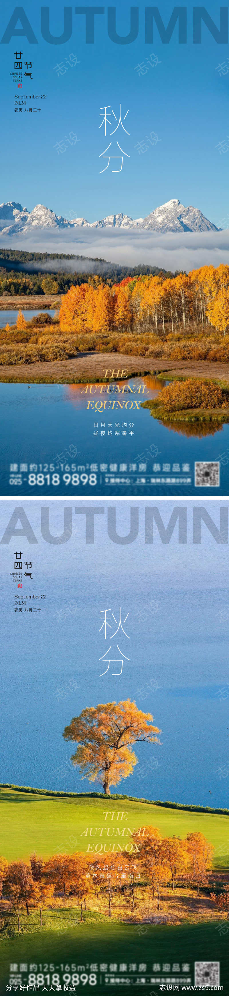 秋分节气海报
