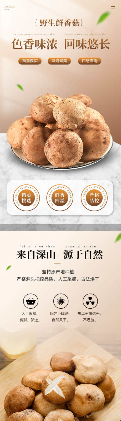野生香菇详情页_源文件下载_PSD格式_790X9494像素-详情页,商品,电商,特产,香菇,蘑菇,农产品,农家-作品编号:2024092210315229-志设-zs9.com