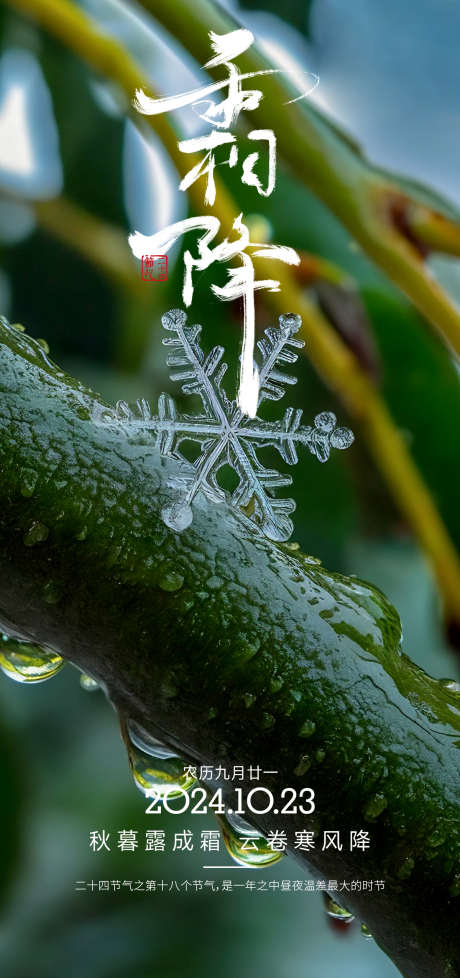 节气霜降海报_源文件下载_PSD格式_1200X2550像素-雪点,时令,霜降,节气,传统,文化,二十四节气-作品编号:2024092317046457-志设-zs9.com