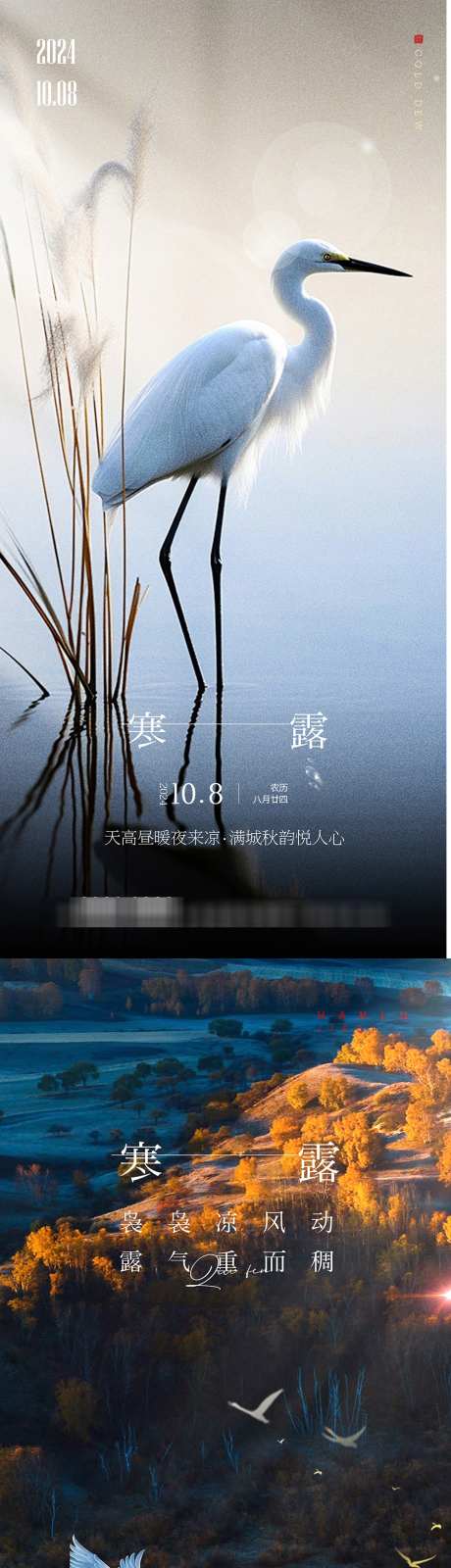 简约寒露海报_源文件下载_PSD格式_1000X4252像素-寒露,白鹭,自然,节气,秋天,风景,飞鸟-作品编号:2024092611538831-志设-zs9.com