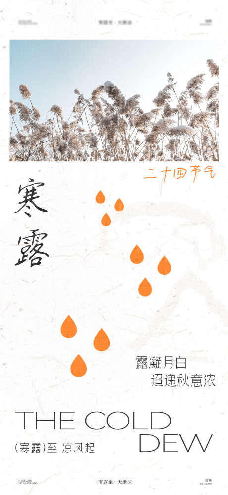 寒露芦苇海报_源文件下载_PSD格式_1200X2600像素-创意,意境,清新,简约,风景,芦苇,寒露,节气,海报-作品编号:2024092711435930-志设-zs9.com