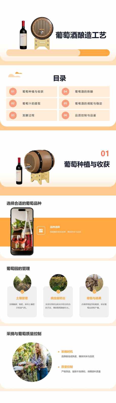 葡萄酒酿造工艺PPT_源文件下载_其他格式格式_853X12000像素-品鉴,工艺,酿造,葡萄酒,PPT,红酒,窖藏-作品编号:2024092709033219-志设-zs9.com