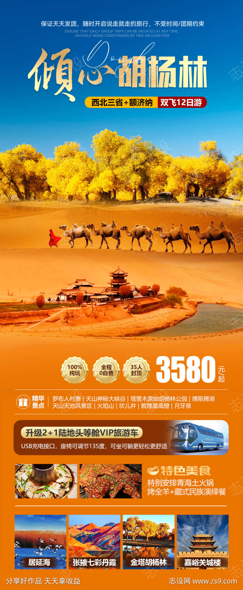 倾心胡杨林海报