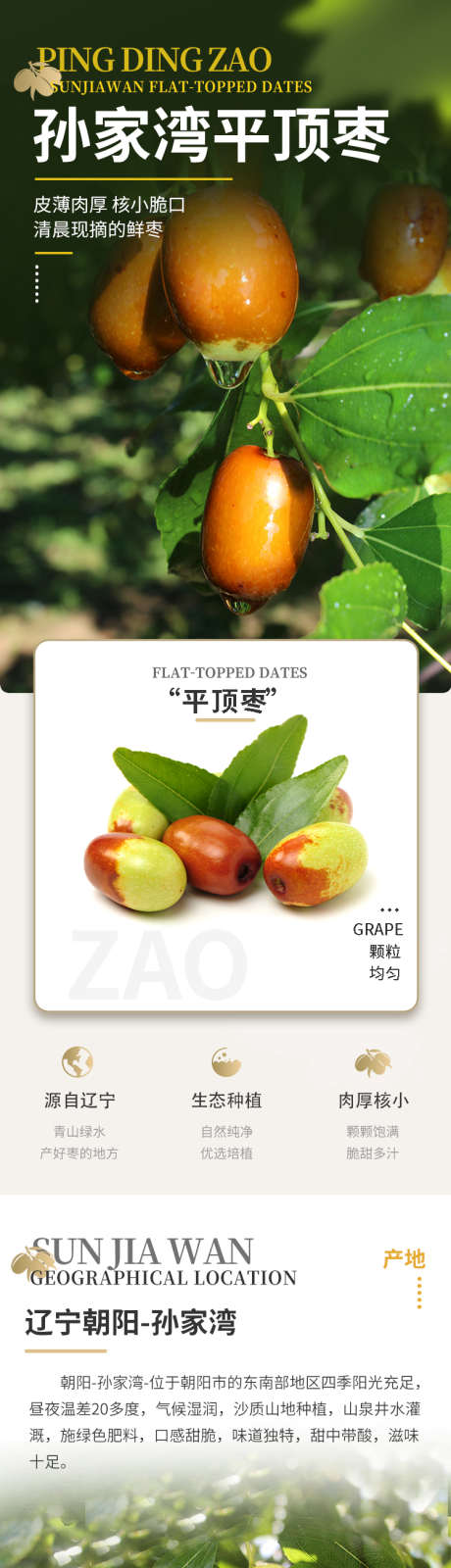 平顶枣脆枣枣子详情页_源文件下载_23格式_750X9669像素-详情页,枣子,脆枣-作品编号:2024092909589353-志设-zs9.com