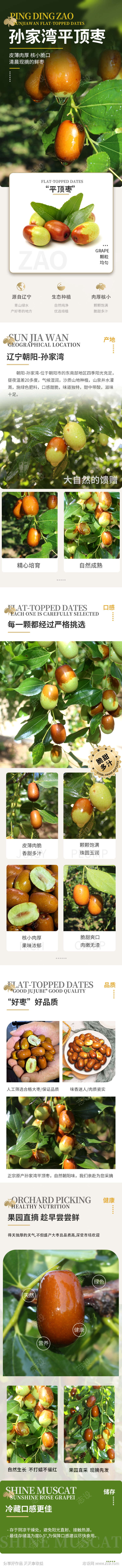 平顶枣脆枣枣子详情页