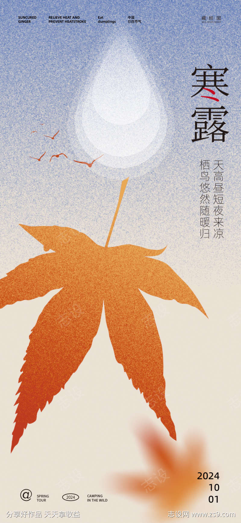 寒露噪点节气海报