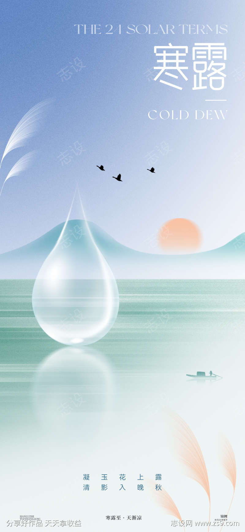 寒露露水芦苇海报