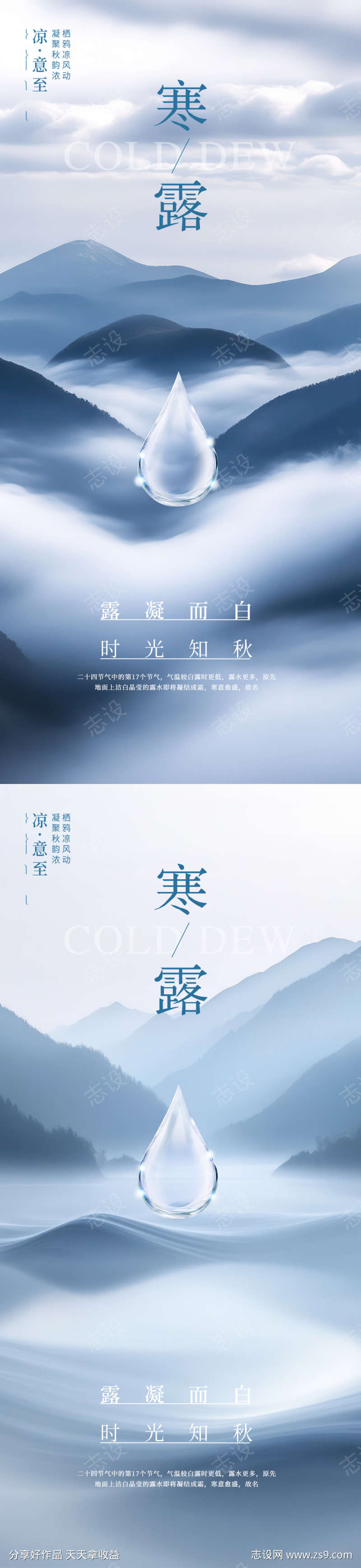 寒露简约节气海报
