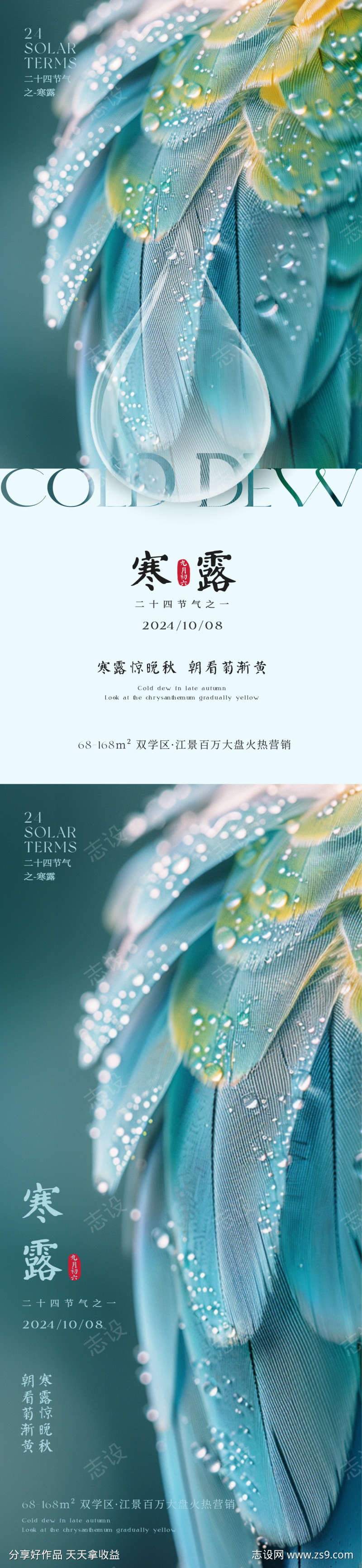 唯美寒露节气海报