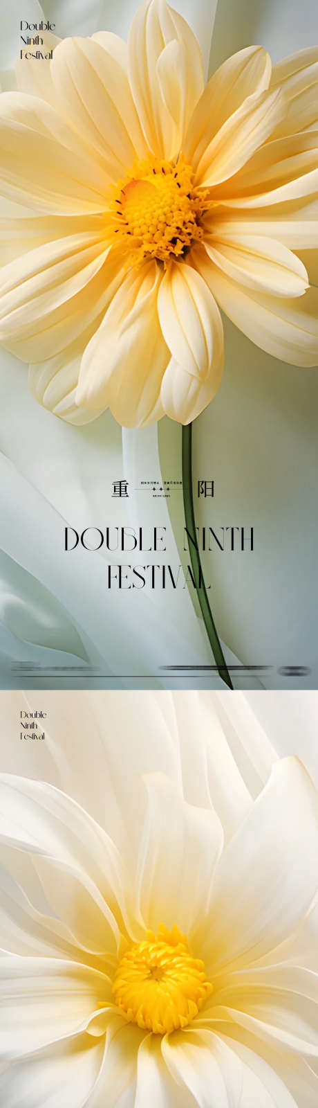 重阳节花朵海报_源文件下载_PSD格式_1252X5424像素-简约,意境,登高-作品编号:2024100809474044-志设-zs9.com