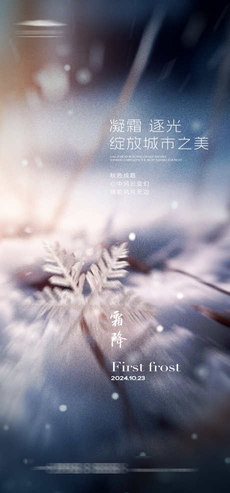 霜降节气海报_源文件下载_AI格式_1333X2855像素-冬天,冰花,自然,霜降,节气,海报,冬季-作品编号:2024100816564706-志设-zs9.com